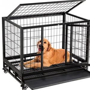 Square tube wire dog cage